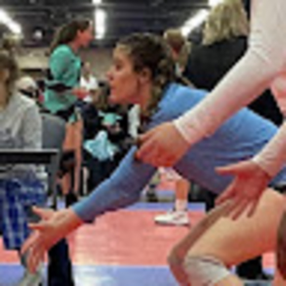 Meet your Posher, Annabelle - Picture 1 of 1